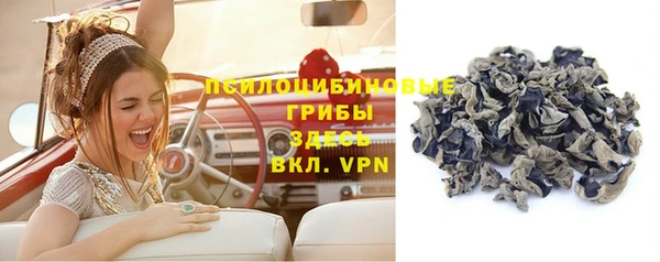 герыч Бородино