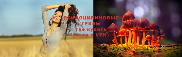 apvp Бронницы