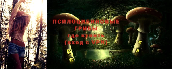 apvp Бронницы