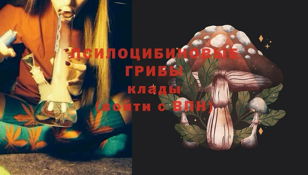 apvp Бронницы