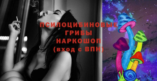 МДМА Богородицк