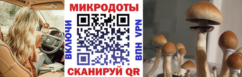 Псилоцибиновые грибы MAGIC MUSHROOMS  где найти   Тихорецк 